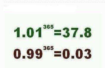 300965591.jpg