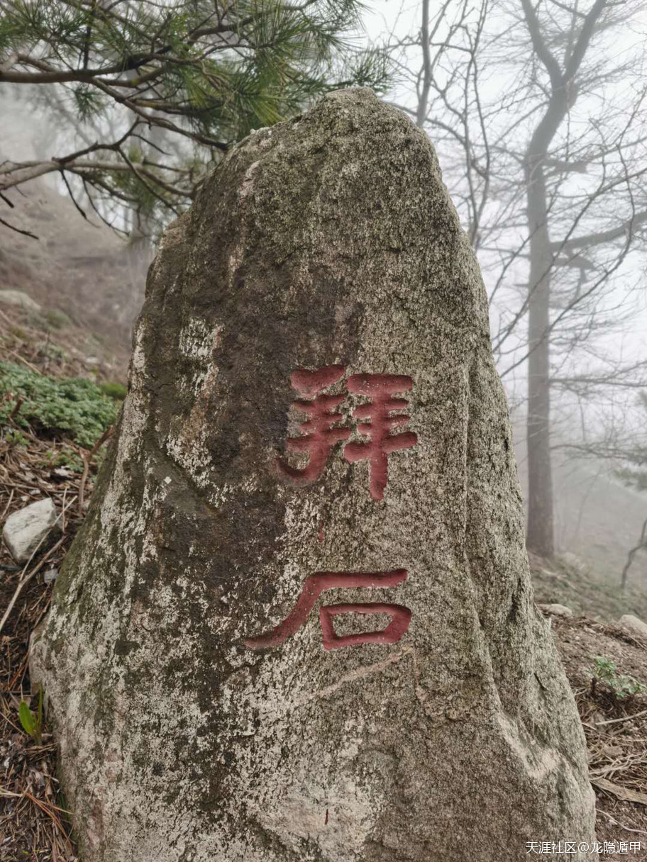 315872598.jpg