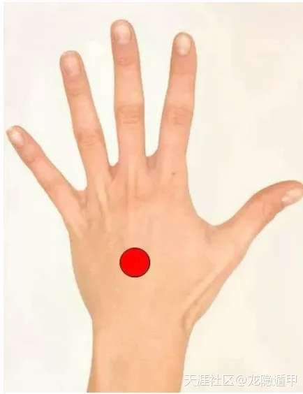 317182465.jpg