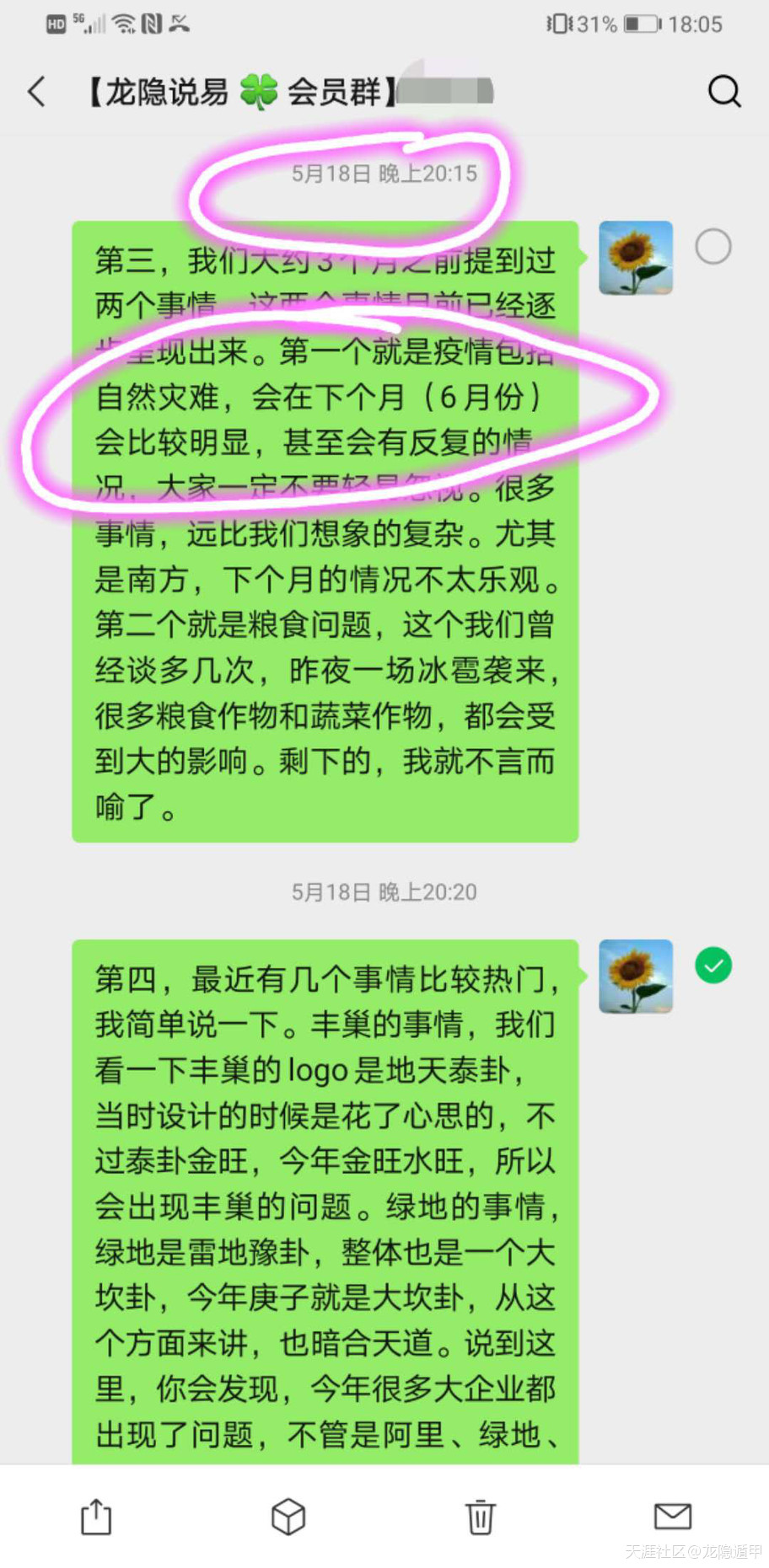 317684054.jpg