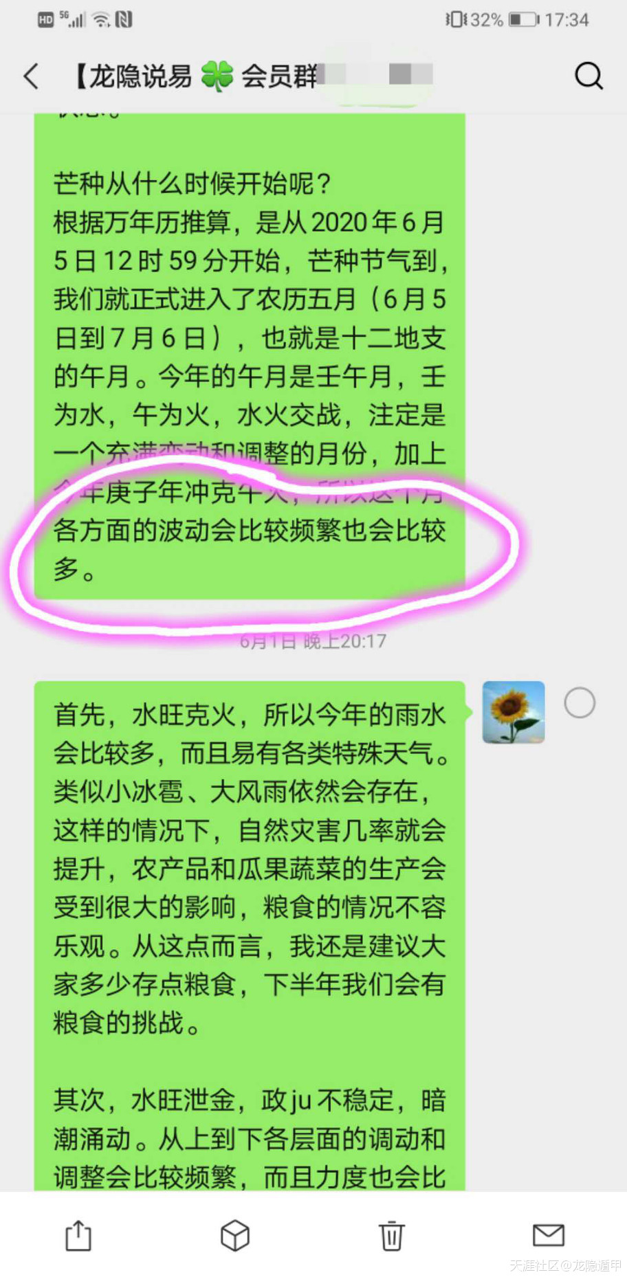 317684055.jpg