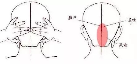 321448242.jpg
