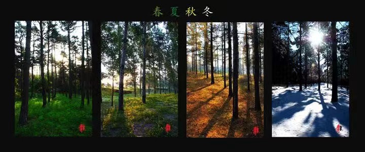 微信图片_20230220201644.jpg